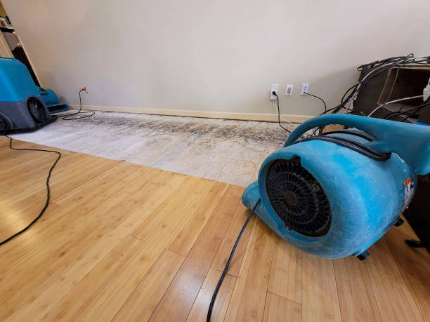 Professional Sewage Cleanup technician working in Berkley, CO